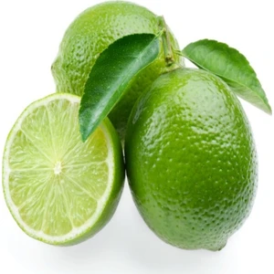 E-fidancim Çekirdeksiz Tahiti Lime Limequat  Fidanı