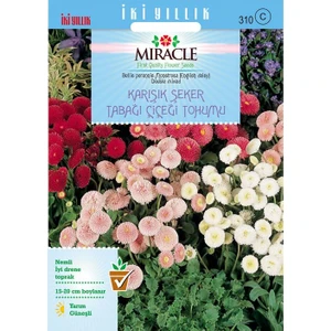 Miracle Tohum Miracle Karışık Şeker Tabağı(Çayır Papatyası) Çiçeği Tohumu(600 tohum)