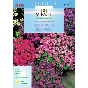Miracle Tohum Miracle Rock Cress Aubrieta Karışık Renkli Obrizya Çiçeği Tohumu (400 tohum)