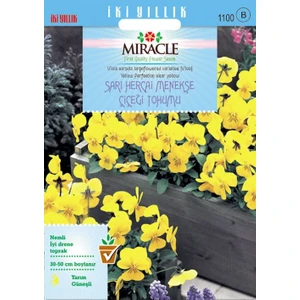 Miracle Tohum Miracle Sarı Hercai Dev Menekşe Çiçeği Tohumu (150 tohum)