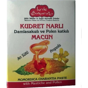 Kudret Narlı Damla Sakızlı Polen Katkılı Macun 250 Gr