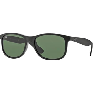 RAYBAN 4202 606971 55