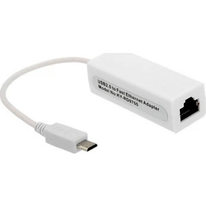 4673 Micro USB To Ethernet Çevirici Dönüştürücü Adaptör