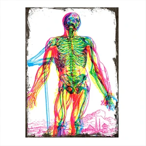 Ahşap Tablo İnsan Anatomisi