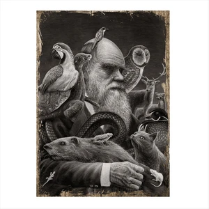 Ahşap Tablo Charles Darwin Ve Teorisi
