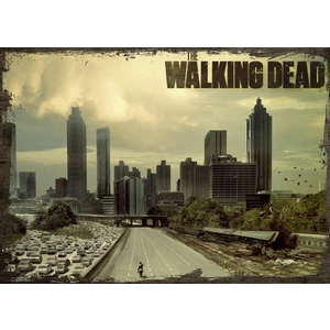 Ahşap Tablo Walking  Dead