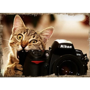 Tablomega Ahşap Tablo Fotoğraf Çeken Kedi