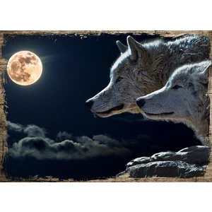 Ahşap Tablo Gecede Beyaz Kurtlar