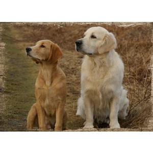 Ahşap Tablo Seyirde Köpekler
