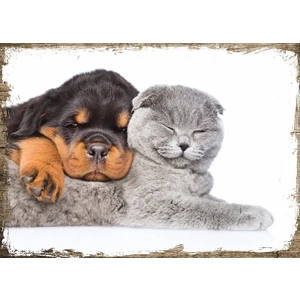 Ahşap Tablo Kedi Ve Köpek