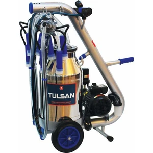 Tempo Tip Çift Sağım (Yağlı)