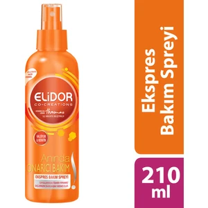 Anında Onarıcı Bakım Ekspres Saç Bakım Spreyi 210 ml