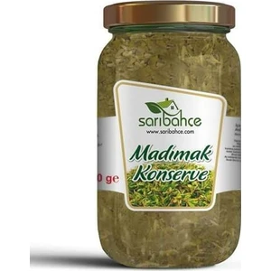 Madımak Konservesi 600 gr