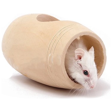 hamster kutusu