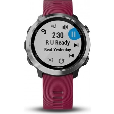 garmin forerunner 245 garmin pay