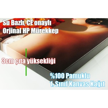 Yagliboya Tablo Polimer Kil Datayli Once Kadin