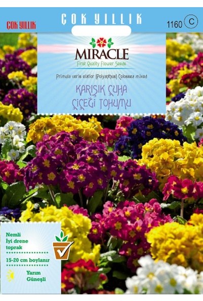 Miracle Tohum Miracle Karışık Renkli Onbir Ay Çuha Çiçeği Tohumu (50 tohum)