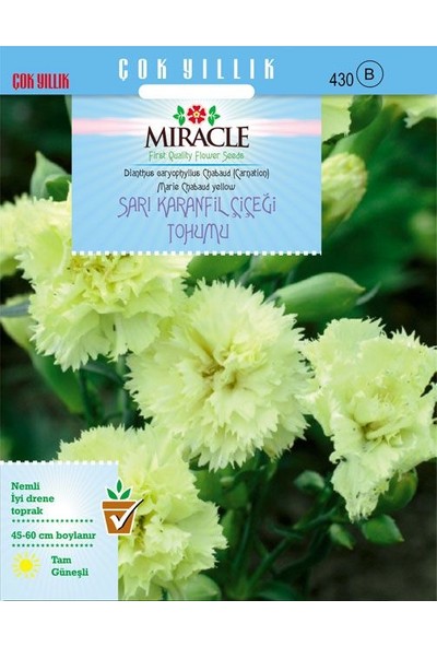 Miracle Tohum Miracle Marie Chabaud Sarı Karanfil Çiçeği Tohumu (190 tohum)