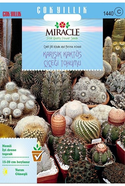 Miracle Tohum Miracle Karışık Kaktüs Bitkileri Çiçeği Tohumu (180 tohum)