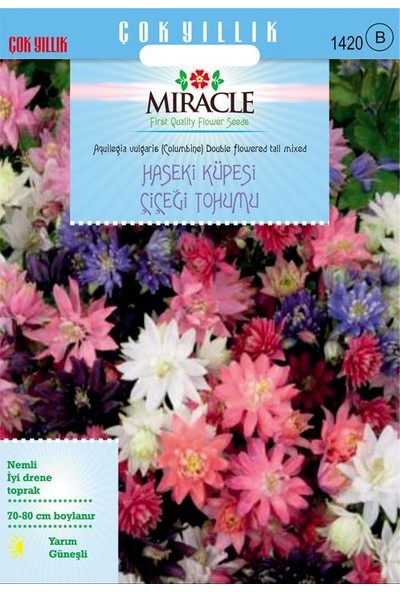 Miracle Tohum Miracle Karışık Renkli Katmerli Haseki Küpesi Çiçeği Tohumu(400 tohum)