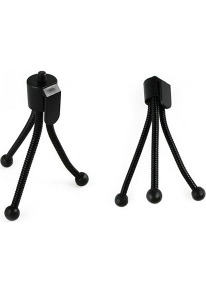 Mini Tripod