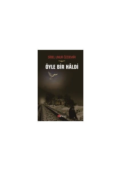 Öyle Bir Haldi - Sibel Unur Özdemir