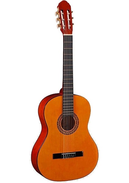 Lc-3900Or Klasik Gitar +Taşıma Kılıfı