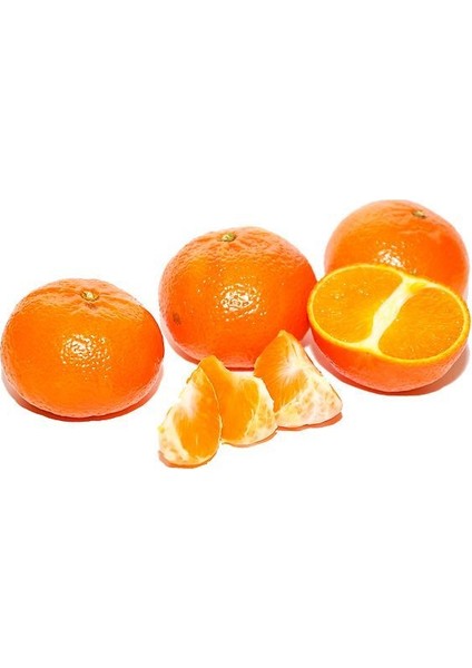 Tüplü Yarı Bodur Erkenci Early Em Mandalin Fidanı fiyatları