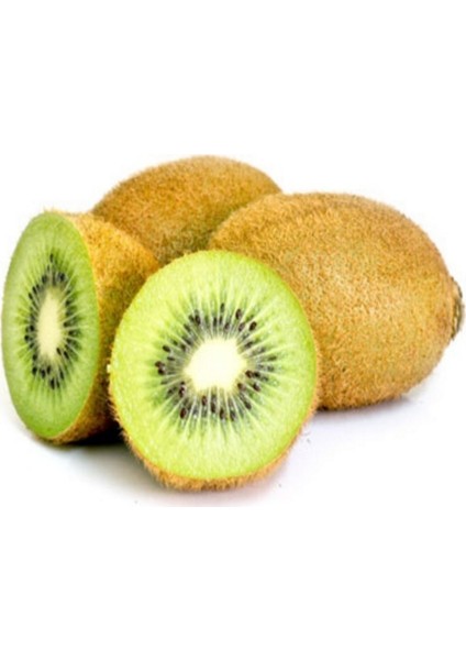 Tüplü Hayward Kivi(Erkek) Fidanı