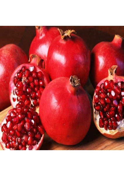 Tüplü Wonderful Nar Fidanı Sınırlı Stok