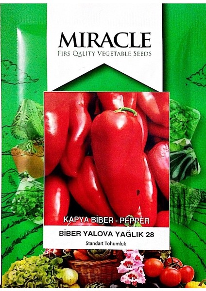 Miracle Etli Yalova Kapya Biber Tohumu (10 gram)