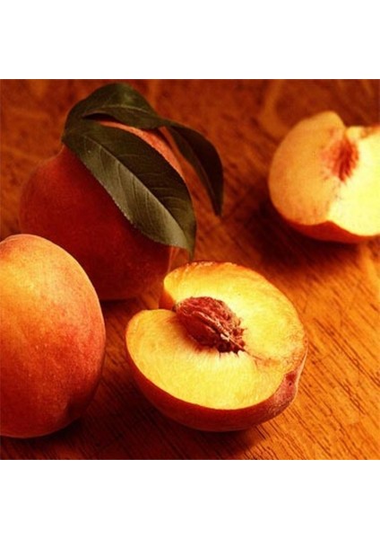 Tüplü Yarı Bodur Geleneksel Anadolu Şentürk Şeftali Fidanı