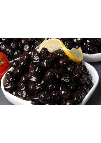 Gemlik Salamuralık Trilye Zeytin Fidanı 1 Yaş