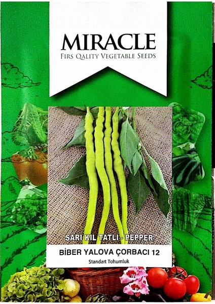 Miracle Tohum Miracle Sarı Tatlı Çorbacı Kıl Biber Tohumu (10 gram)