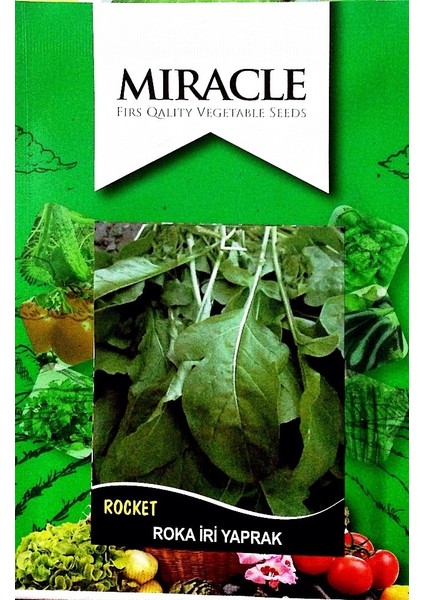 Miracle Tohum Miracle Toros Geniş Yaprak Roka Tohumu (10 gram)