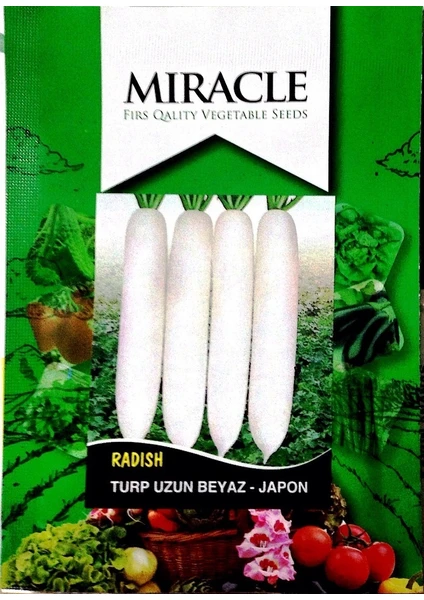 Miracle Tohum Miracle Uzun Beyaz Turp Tohumu (10 gram)