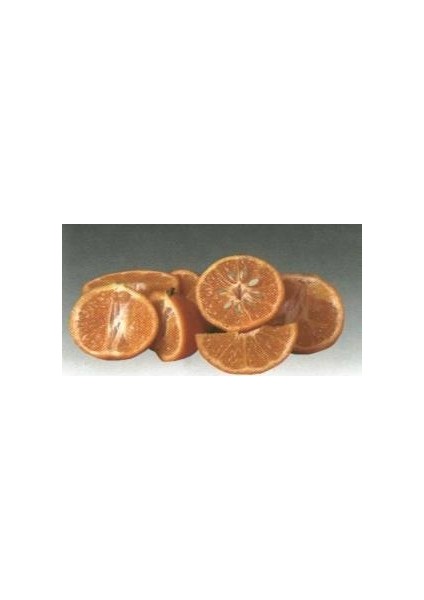 Tüplü Rize Satsuma Mandalin Fidanı fırsatları