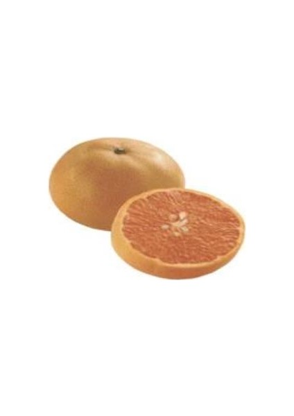 Tüplü W.Murcot Mandalin Fidanı