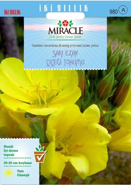 Miracle Tohum Miracle Ezan Çiçeği Tohumu(480 tohum)