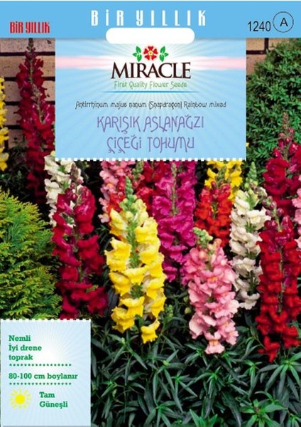 Miracle Tohum Miracle Antirrhinum Rainbow Mixed Karışık Aslanağzı Çiçeği Tohumu(3000 tohum)