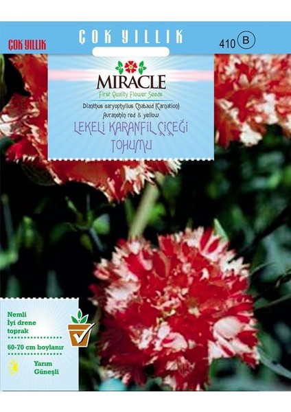 Miracle Avranchin Lekeli Karanfil Çiçeği Tohumu (190 tohum)