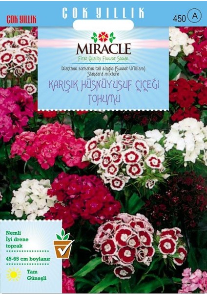 Miracle Uzun Boylu Karışık Renkli Hüsnü Yusuf Çiçeği Tohumu (690 tohum) fiyatları