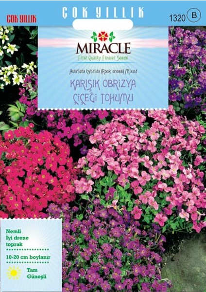 Miracle Tohum Miracle Rock Cress Aubrieta Karışık Renkli Obrizya Çiçeği Tohumu (400 tohum)