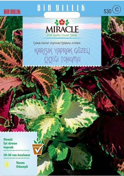 Miracle Tohum Miracle Karışık Renkli Kolyos (Coleus) Yaprak Güzeli Çiçeği Tohumu(700 tohum)