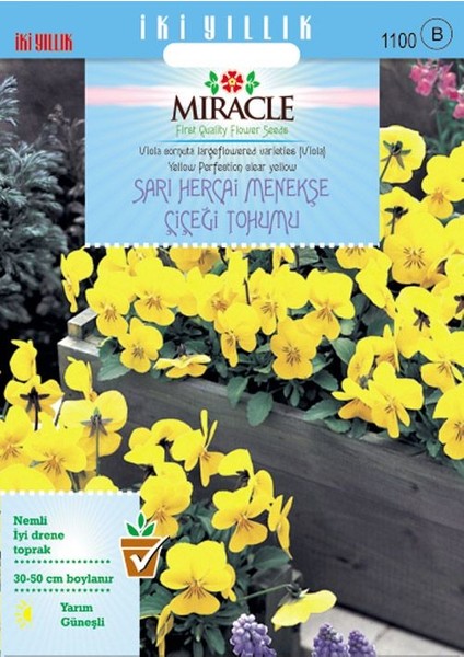 Miracle Tohum Miracle Sarı Hercai Dev Menekşe Çiçeği Tohumu (150 tohum)