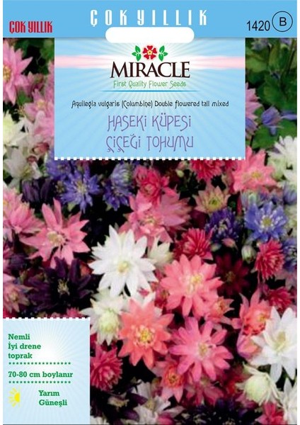 Miracle Tohum Miracle Karışık Renkli Katmerli Haseki Küpesi Çiçeği Tohumu(400 tohum)