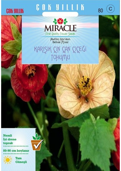 Miracle Karışık Renkli Çin Çan Çiçeği Tohumu (50 tohum)