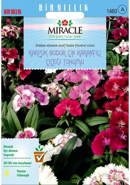 Miracle Karışık Renkli Bodur Çin Karanfili Çiçeği Tohumu (450 tohum)