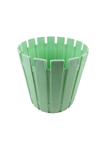 Şentürk Akasya 27 Saksı S.Yesılı