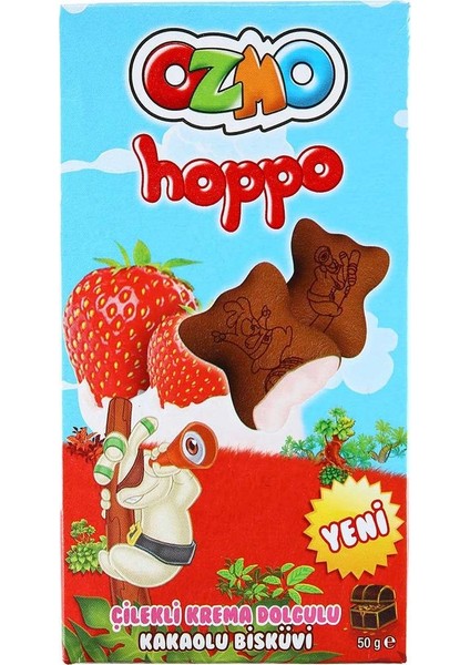 Hoppo Çilekli 40Gr